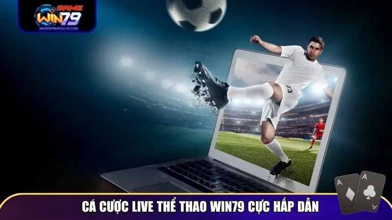 live the thao 3 Cá cược live thể thao Win79 cực hấp dẫn